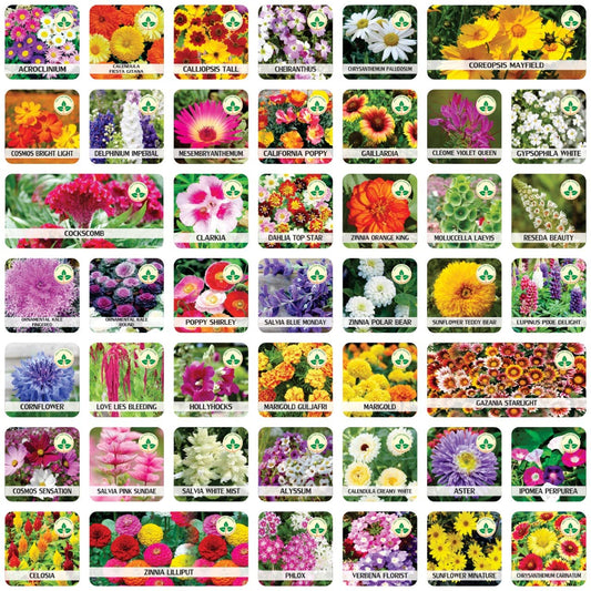 Lotus Seed and Flower Seed Combo (46 Varieties of Packet)