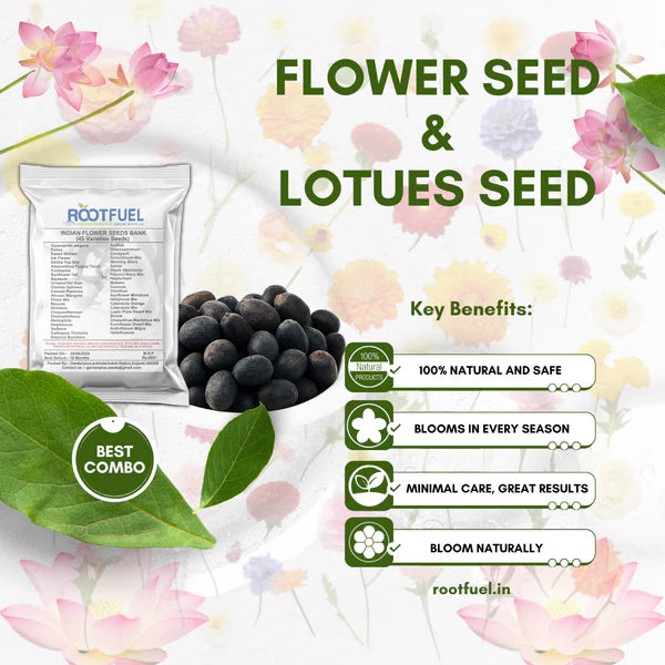 lotus flower seeds amazon Lotus Seed and Flower Seed Combo (46 Varieties of Packet) – ROOTFUEL