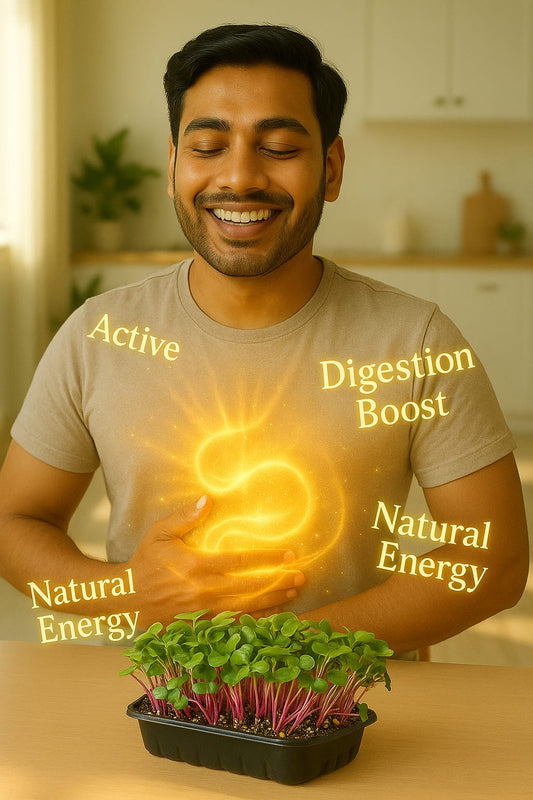 Microgreens Growing Kit – 6 Super Seeds Combo