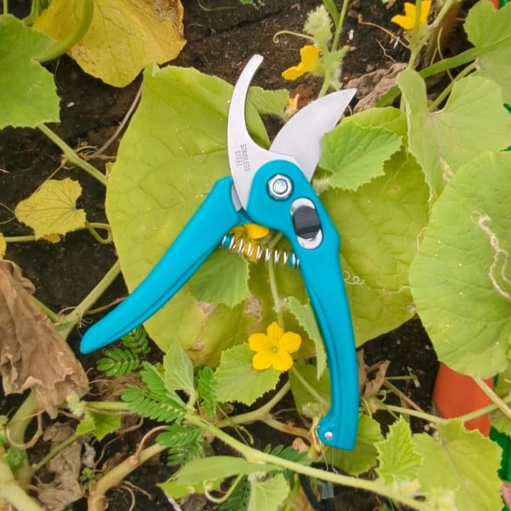 Root & Bloom Essentials