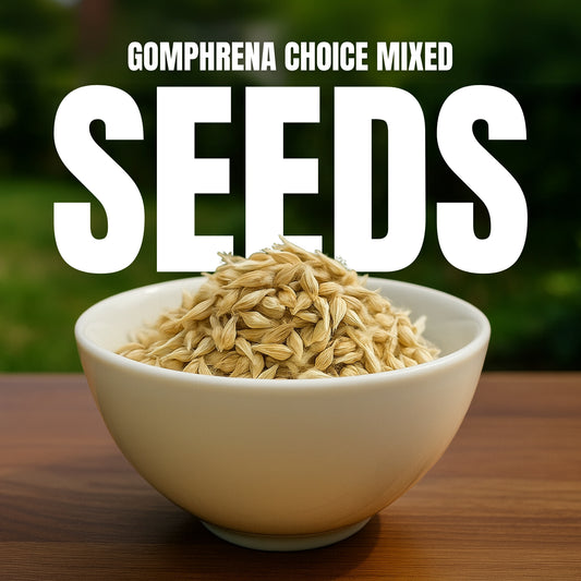 Gomphrena Choice Mixed seeds