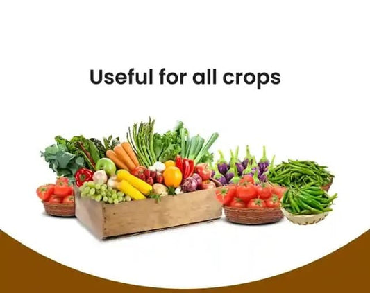 Rootfuel - Sugarcane Special Bacteria fertilizer