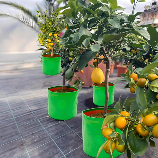 EcoGrow HDPE Garden Bags