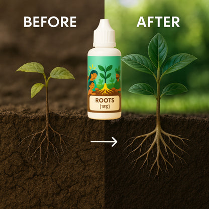 RootFuel Sampurna: The Complete Solution for Roots, Growth, Flowers & Fruits