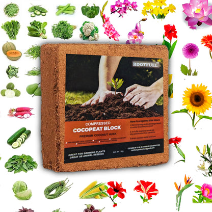 RootFuel - Ultimate Combo