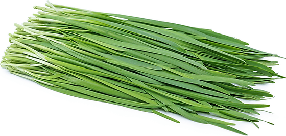 Garlic Chives Seeds
