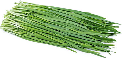 Garlic Chives Seeds