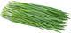 Garlic Chives Seeds