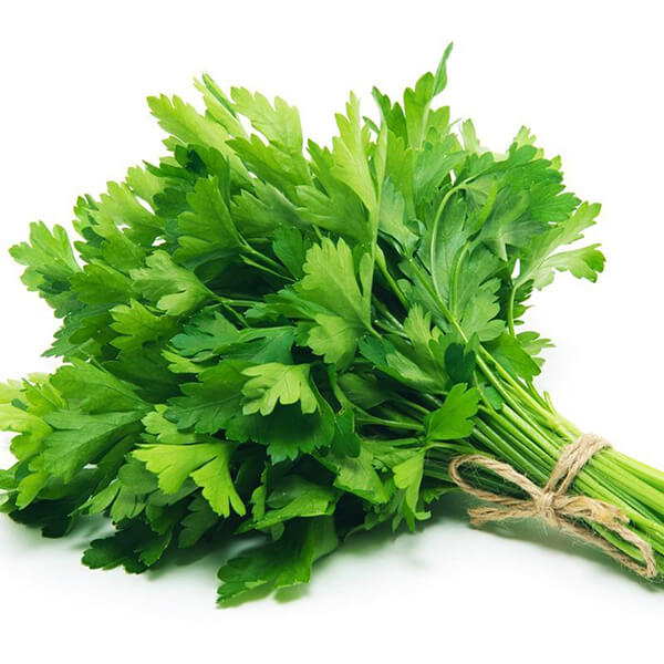 Flat Leaf Parsley Seeds