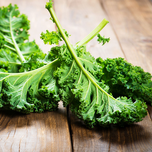 Curly Kale Seeds