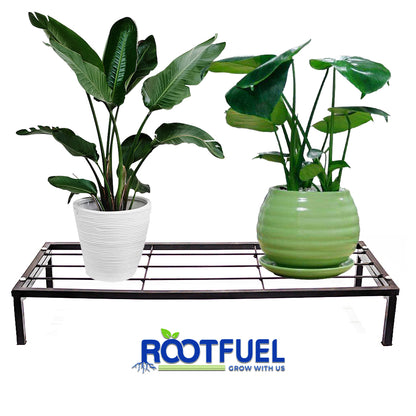 Rootfuel - stainless steel plant stand (pack of 2)