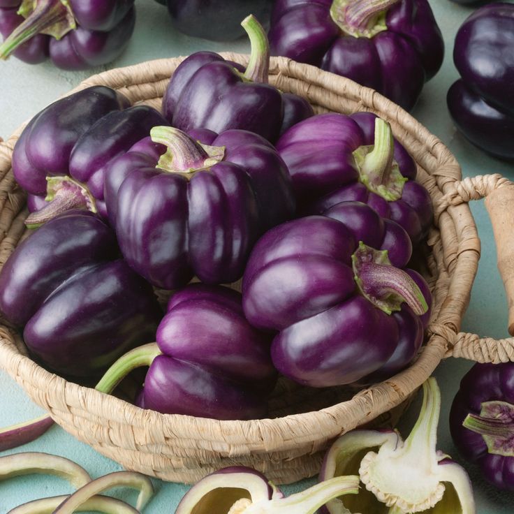 Rainbow Capsicum Seeds Pack – 5 Vibrant Colours!