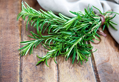 Rosemary Seeds