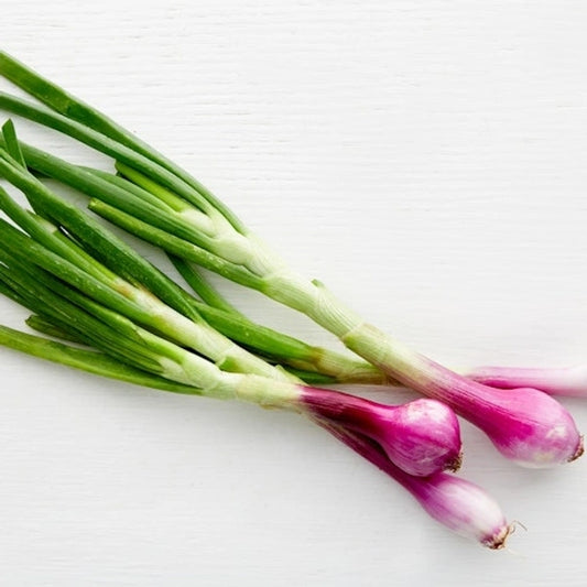 Spring Onion Seeds