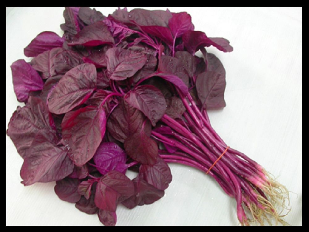 Amaranthus Red Seeds