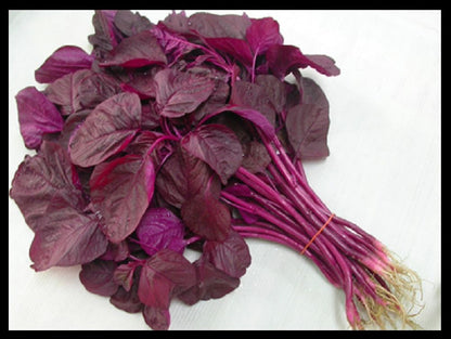 Amaranthus Red Seeds
