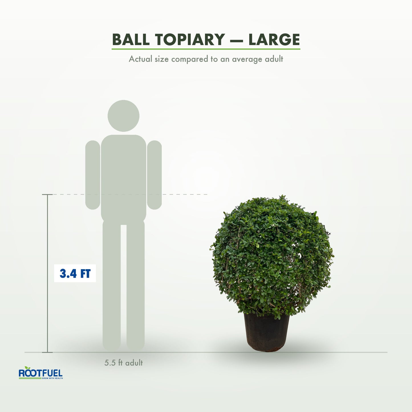 Ball