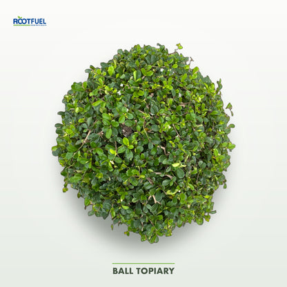 Ball