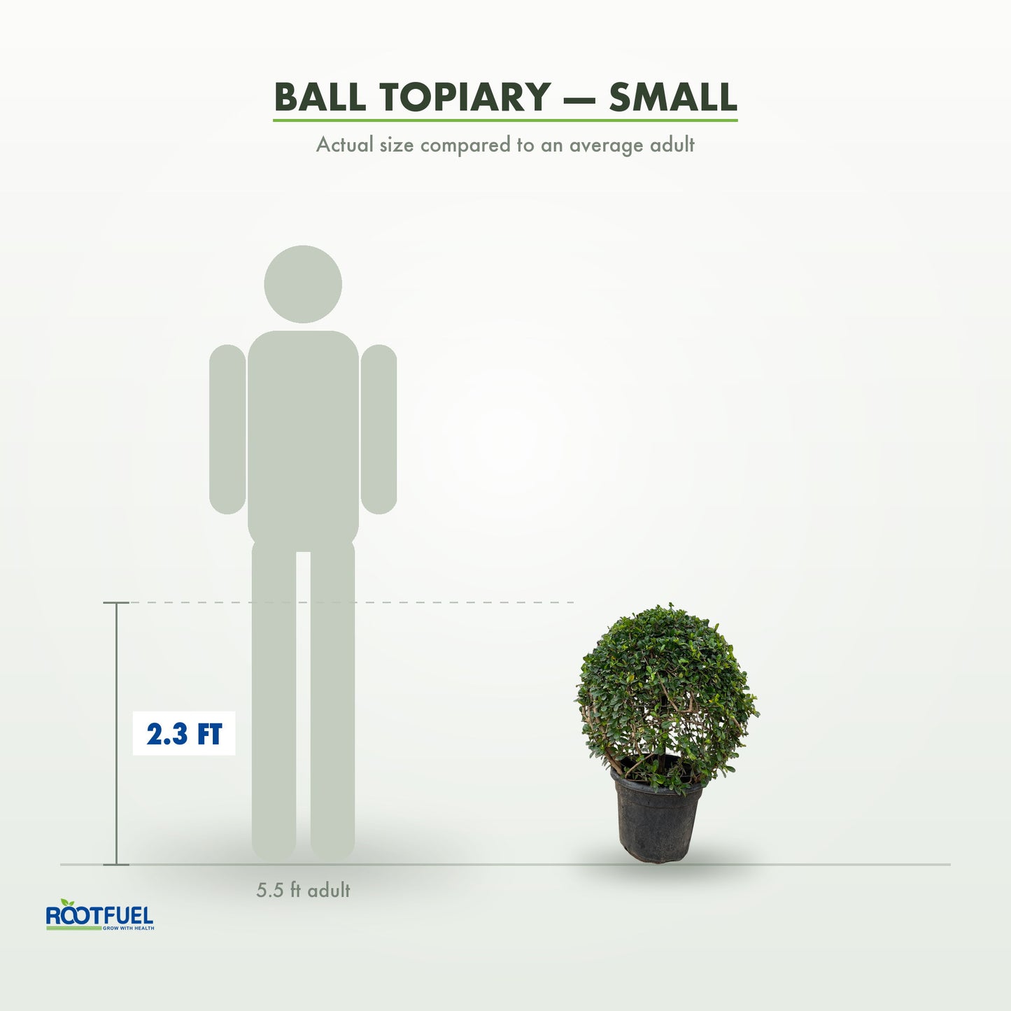 Ball