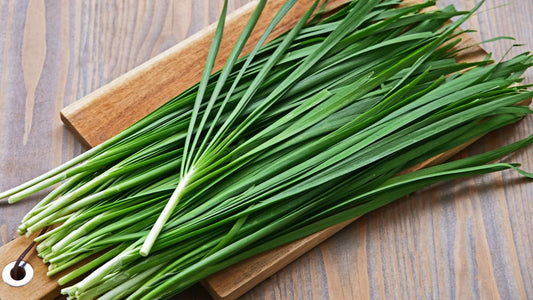 Chives Seeds