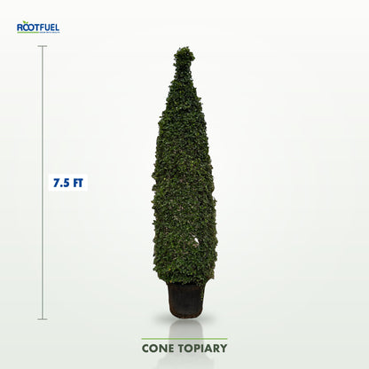 Cone 7.5ft