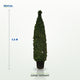 Cone 7.5ft