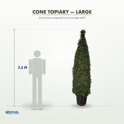 Cone 7.5ft