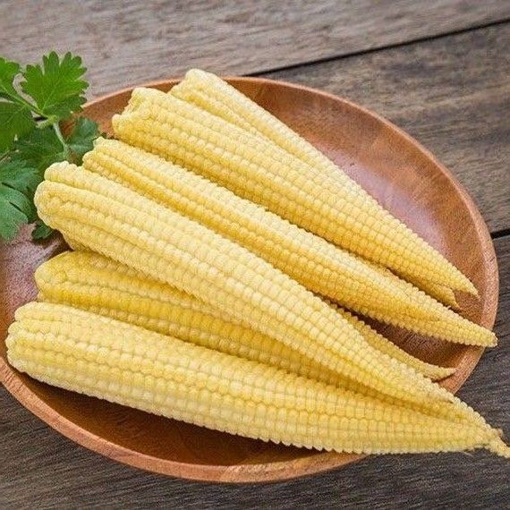 Exotic vegetables seed combo