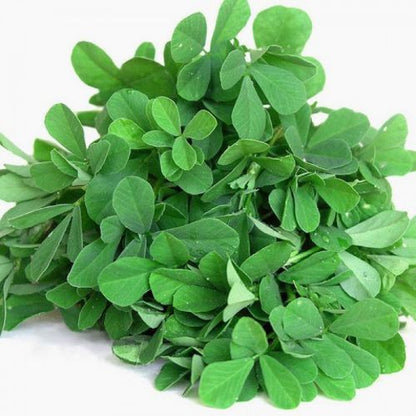 Methi Seeds