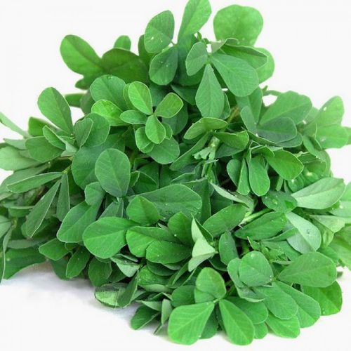 Methi Seeds