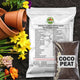 Flowers Seeds Vault (45 Varieties of Packet)