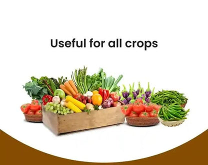 Rootfuel - Sugarcane Special Bacteria fertilizer