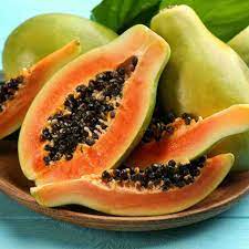 Papaya F1 Red Lady Hybrid Seeds