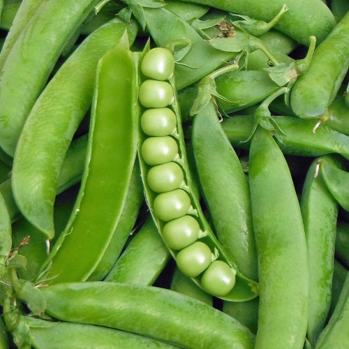 Peas Long Green Seeds
