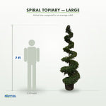 Spiral