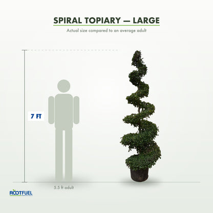 Spiral