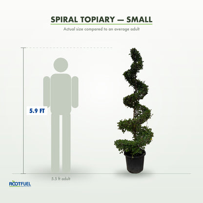Spiral