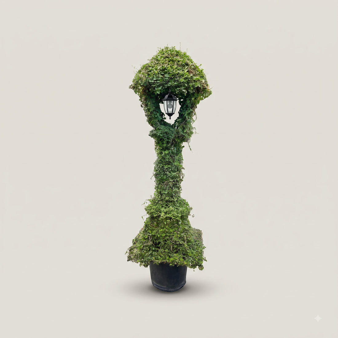 Lamp topiary in daylight