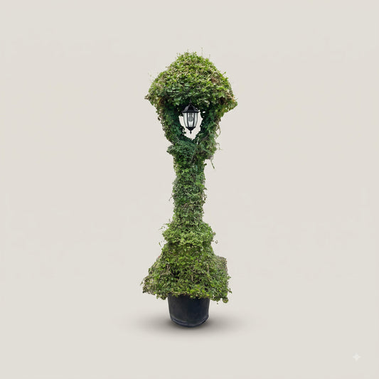 Natural Lamp
