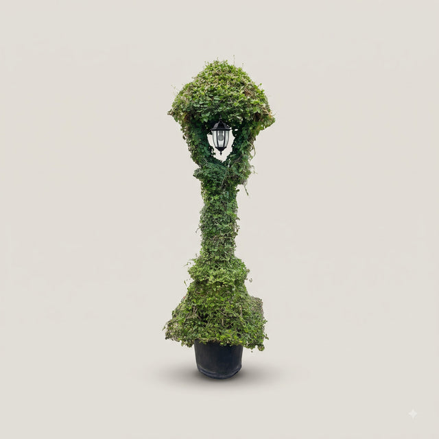 Natural Lamp topiary plant from RootFuel