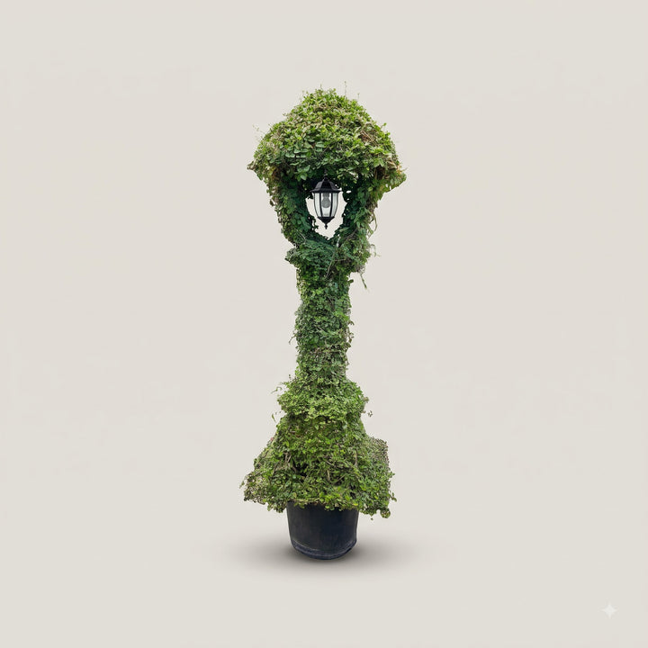 Natural Lamp topiary plant from RootFuel